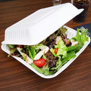 Clamshell-Bagasse-Food-Carton-9x9.jpg