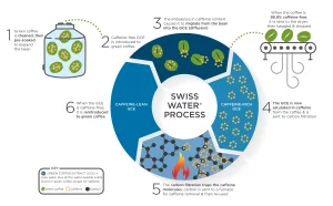 Swiss-Water-Infographic.webp